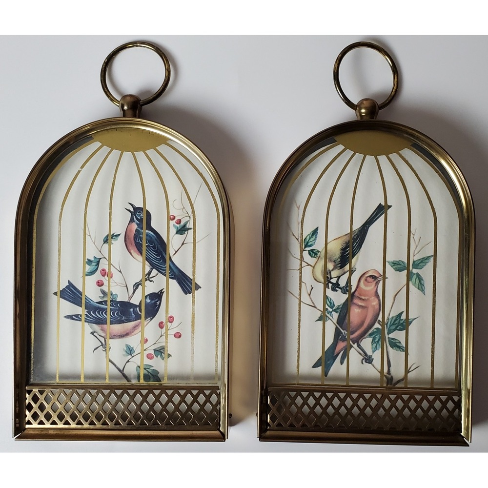 Vintage Trompe L'oeil Style Framed Birds in Birdcage Brass Home Decor MCM Nature